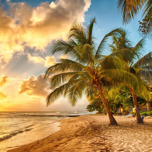 Vitamin D Injection